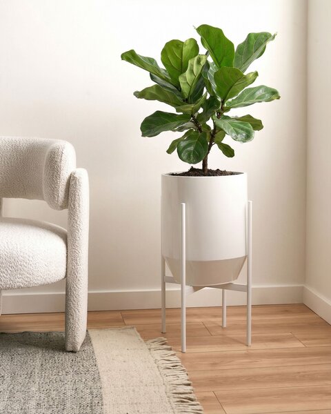 Květináč na stojanu HYBRIDUM Kov 33 cm Bílá