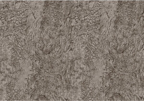 Skinnwille Home Collection Kudrnatá australská kožešina Curly, světle hnědá, 95x60 cm