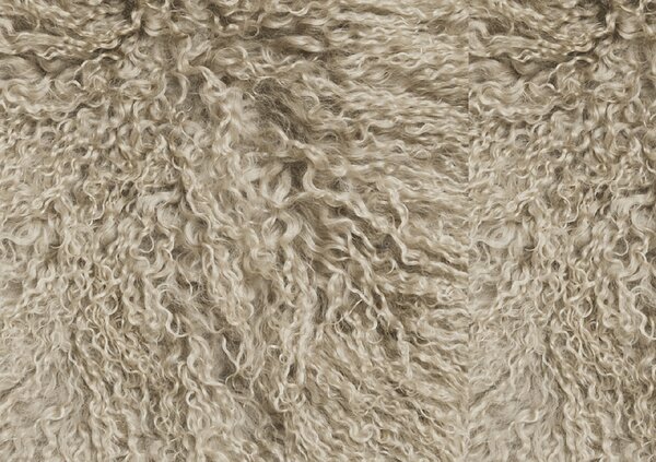 Skinnwille Home Collection Tibetská kožešina Taupe, 95x55 cm
