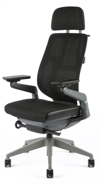 Office Pro Zdravotní židle KARME MESH s opěrkou hlavy Barva potahu: A10-mesh černá
