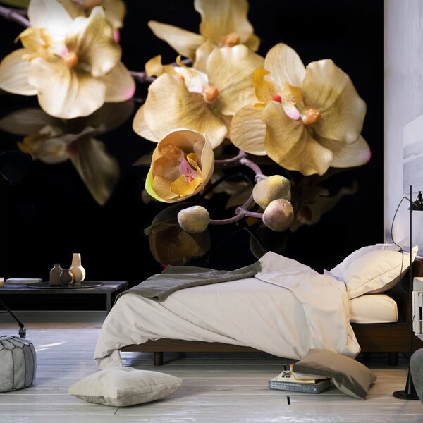 Fototapeta - Orchideje v béžové 250x193 + zdarma lepidlo