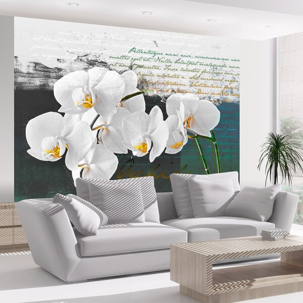 Fototapeta - Inspirace orchidejí 250x193 + zdarma lepidlo