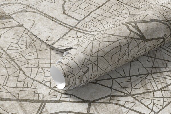 Fototapety Mapa Paříže, liniová kresba, architektura, Francie, béžové barvy, Fototapety mapy světa, w01697 : uwalls.cz