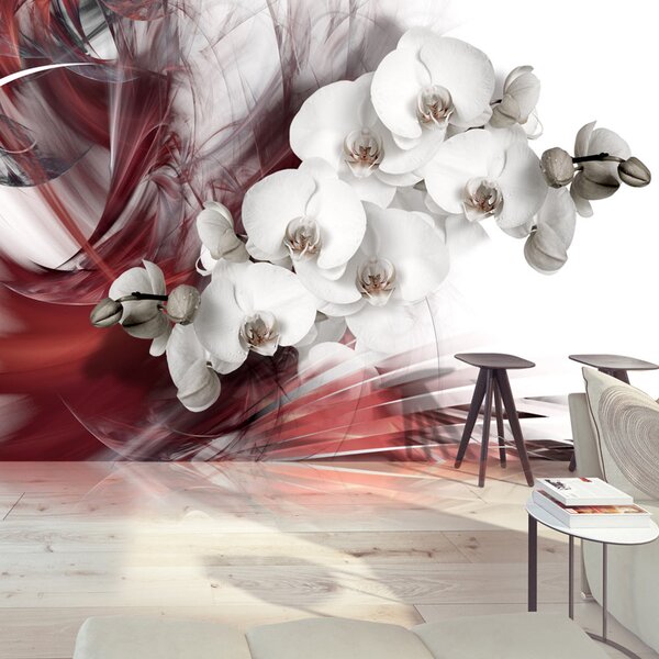 Fototapeta - Orchidej v červené barvě 250x175 + zdarma lepidlo