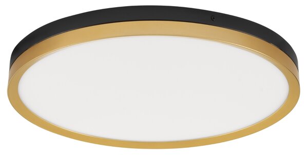 Černo-zlaté kovové stropní LED světlo Nova Luce Cantria 50 cm
