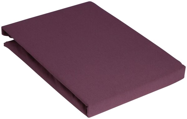 PROSTĚRADLO, fialová, 90/200 cm Novel - Prostěradla