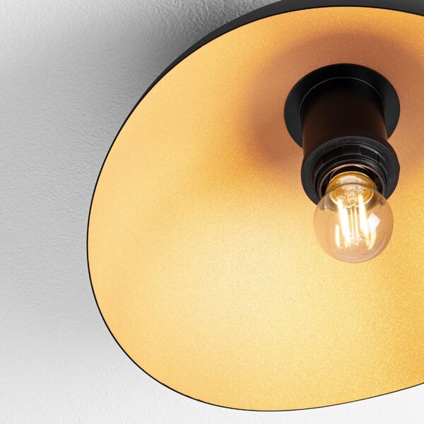 Černo-zlaté kovové stropní světlo Nova Luce Opsi 30 cm