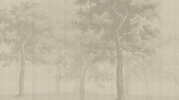 Fototapeta Skupina stromů v zamlženém lese, Přírodní fototapety, Populární fototapety, t00786 - Tapeko.co.cz