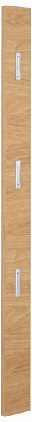 ŠATNÍ PANEL, barvy dubu, divoký dub, 14/170/3 cm Novel - Šatní panely