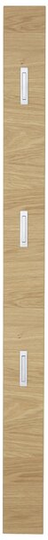 ŠATNÍ PANEL, barvy dubu, divoký dub, 14/170/3 cm Novel - Šatní panely