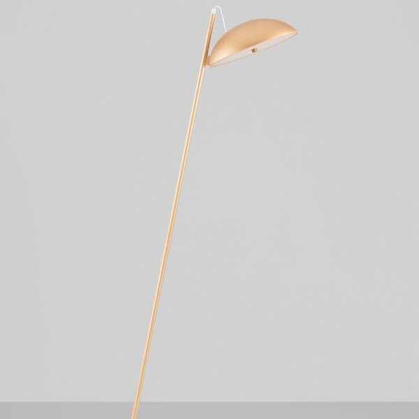 Zlatá kovová stojací LED lampa Nova Luce Flute 153 cm
