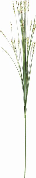 DEKORAČNÍ TRÁVA, 70 cm - Dekorační tráva