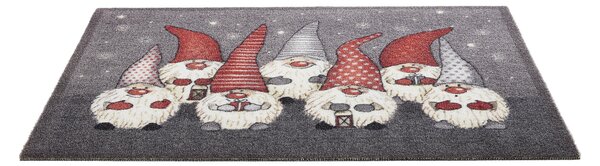DVEŘNÍ ROHOŽKA, 40/60 cm Esposa - Rohožky