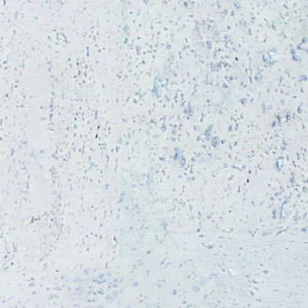 Korek Jelínek Corkline Standard White HRN 1,89 m2