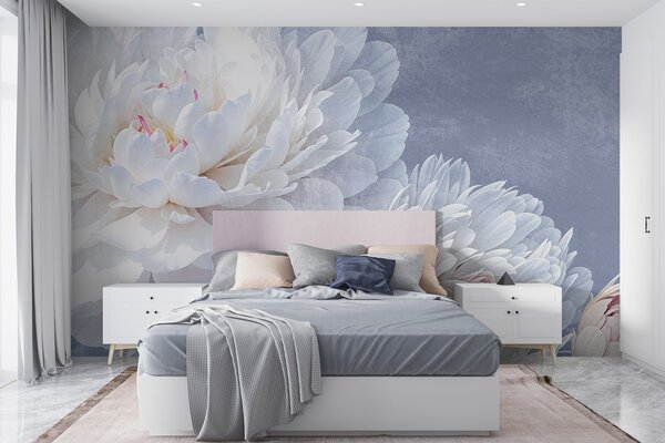 Fototapety Bílé detailní květy pivoněk s jemnými okvětními lístky na světle modrém pozadí s pastelovou, Fototapety květiny, w08379 : uwalls.cz