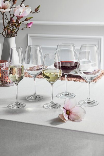 SKLENICE NA SEKT Schott Zwiesel