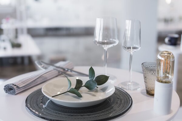 Sklenice na červené víno Essence iittala 0,45 l 2 ks