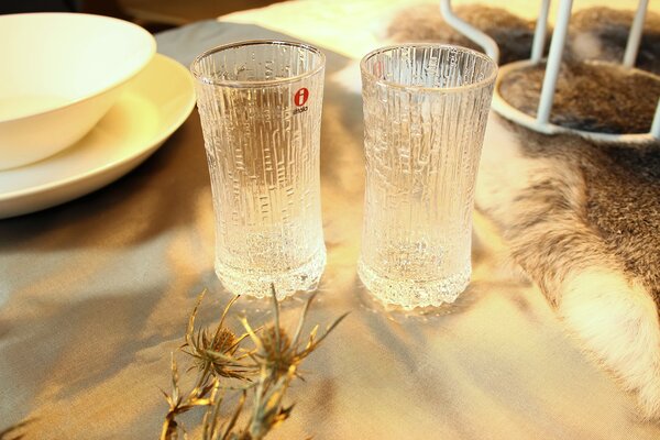 Sklenice na šampaňské Ultima Thule iittala 0,18 l 2 ks