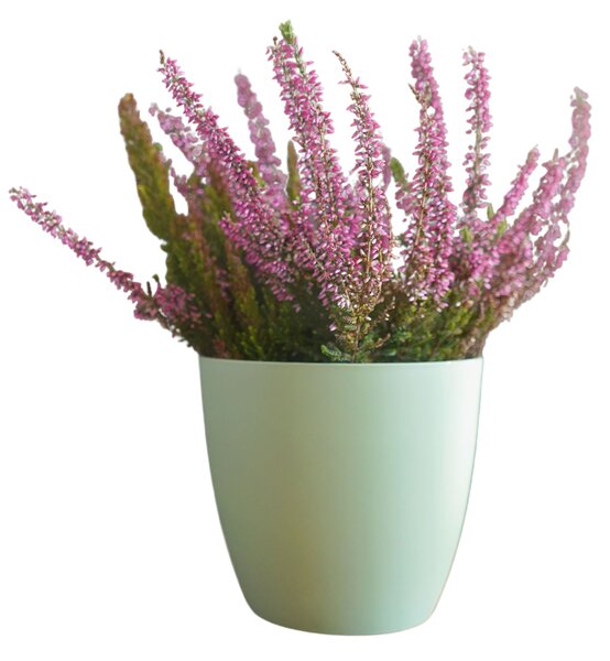Obal Ella matný 25 cm, pistáciová