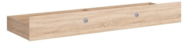 Zásuvka pod postel BRW Nepo Plus 10/11 (dub sonoma)