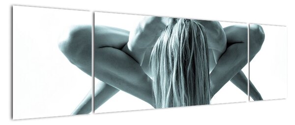 Obraz na stěnu (170x50cm)