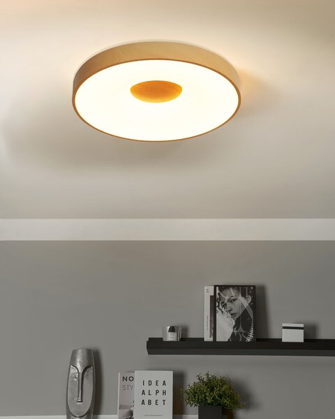 LED stropní lampa BRAGOTO s dálkovým ovládáním se stmívačem Kov Světle hnědá