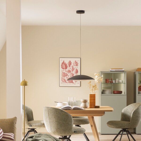 Schöner Wohnen 14606-18-LED Stm. lustr na lanku LENTE LED/17W/230V pr.40cm černá