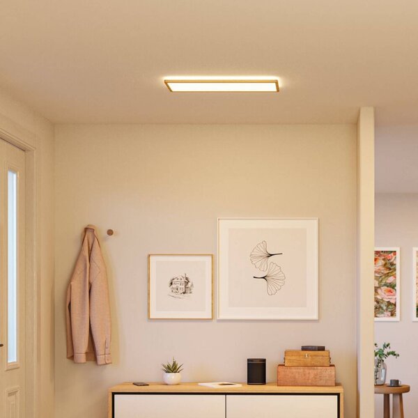 Paulmann LED panel Atria Shine 58 cm, dřevěný, IP44, 3000 K, zapnuto/vypnuto, Světlé dřevo, Pracovna / kancelář, Plast, Moderní