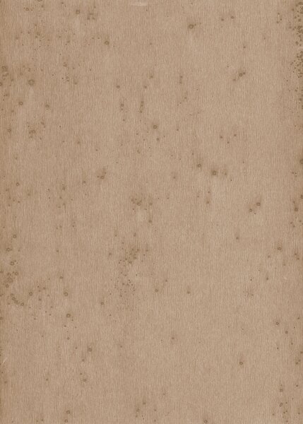 Tapeta 37522 Arte