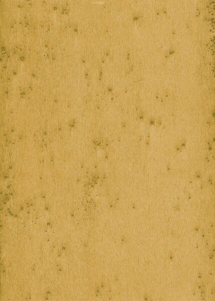 Tapeta 37519 Arte