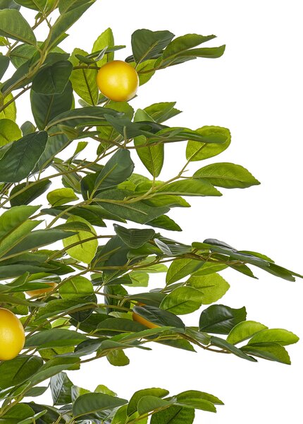 Umělá rostlina LEMON TREE 156 cm Zelená