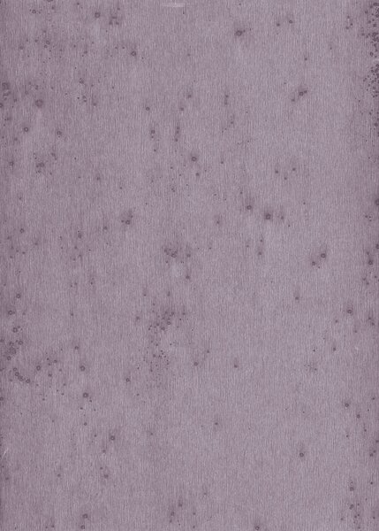Tapeta 37504 Arte