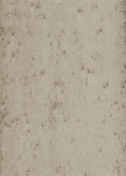 Tapeta 37508 Arte
