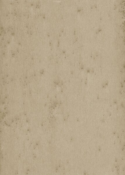 Tapeta 37509 Arte