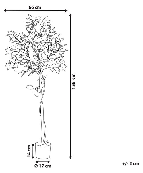 Umělá rostlina LEMON TREE 156 cm Zelená