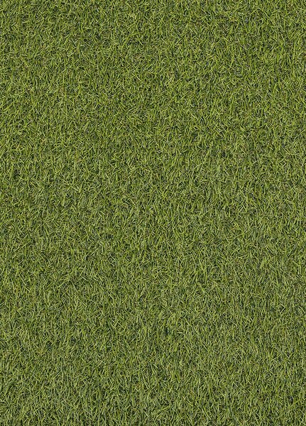 Breno Umělá tráva SPECTAL 2015, šíře role 400 cm