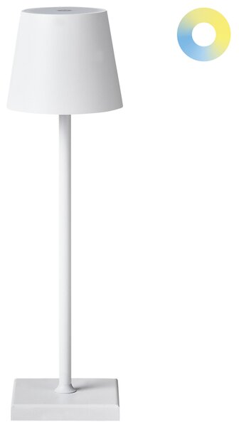 LED bezdrátová stolní lampa BACEIRO se stmívačem Kov Bílá