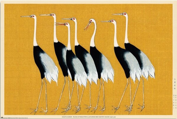 Plakát, Obraz - Ogata Korin - Flock of Beatiful Japanese Red Crown Crane