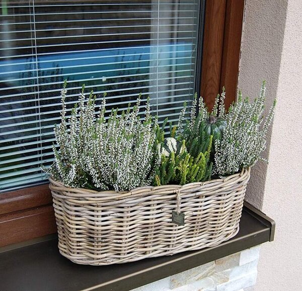 RATANOVÝ truhlík ELIPSA CLASIC, Grey, 50x20x20 cm (Van der Leeden®)