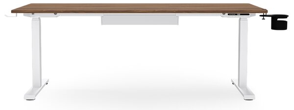 Elektrický stůl s nastavitelnou výškou ergonomický bílý/ořech,1600x800 mm: ARIA