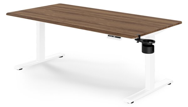 Elektrický stůl s nastavitelnou výškou ergonomický bílý/ořech,1600x800 mm: ARIA