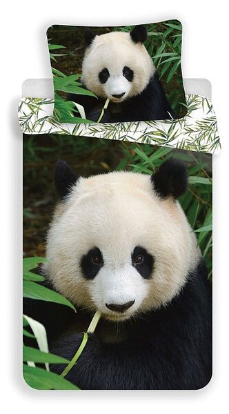 JERRY FABRICS Povlečení Panda Bavlna, 140/200, 70/90 cm