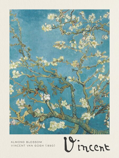 Obrazová reprodukce Květy mandloní, (30 x 40 cm)