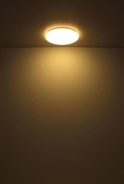 STROPNÍ LED SVÍTIDLO, 49,5/10 cm Globo - Online Only svítidla, Online Only