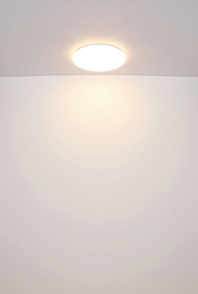 STROPNÍ LED SVÍTIDLO, 49,5/10 cm Globo - Online Only svítidla, Online Only