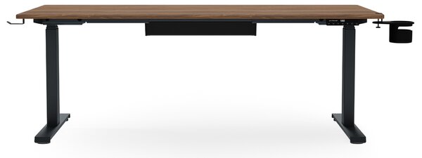 Elektrický stůl s regulací výšky ergonomický antracitový/ořech,1600x800 mm: ARIA