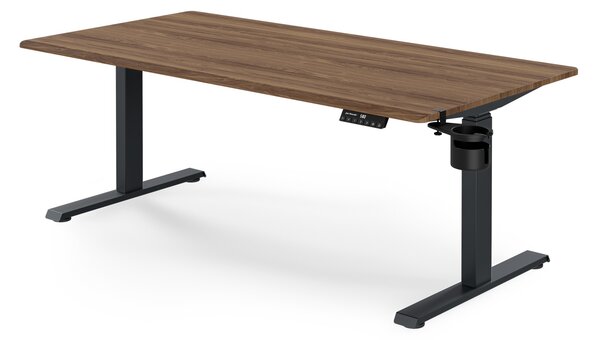 Elektrický stůl s regulací výšky ergonomický antracitový/ořech,1600x800 mm: ARIA