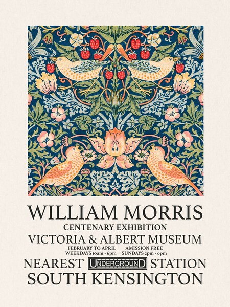 Obrazová reprodukce Strawberry Thief (Special Edition) - William Morris, (30 x 40 cm)