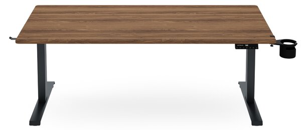Elektrický stůl s regulací výšky ergonomický antracitový/ořech,1600x800 mm: ARIA