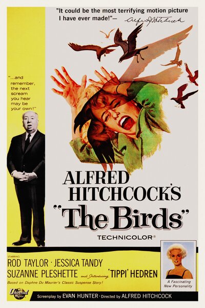 Obrazová reprodukce The Birds / Alfred Hitchcock / Tippi Hedren (Retro Movie), (26.7 x 40 cm)